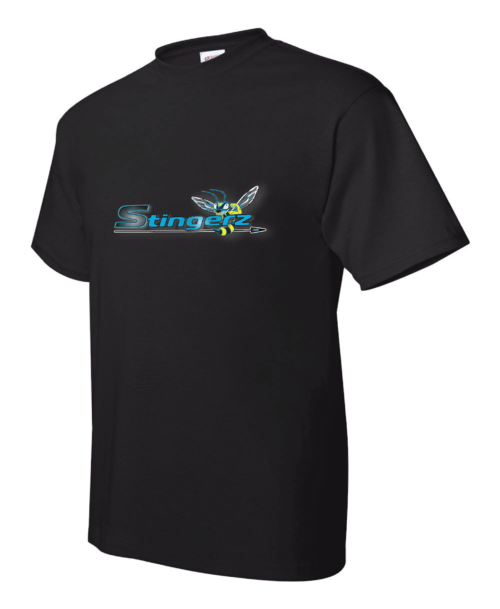 Stingerz Professional Logo T-Shirt - Black Hanes 5170 EcoSmart® Unisex Tee for Trade Professionals